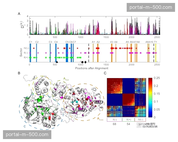 标准化管理模块正快速普及 降低新兴赛事机构的入门门槛